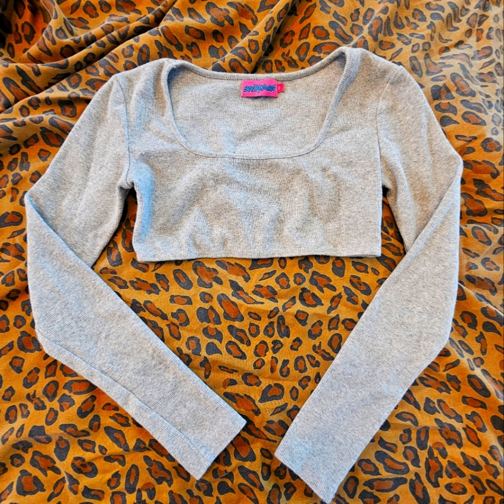 #EDIKTED Gray Long Sleeve Crop Top SIZE XS